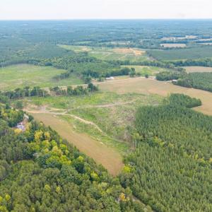 Photo #15 of Cody Rd, Gretna, VA 51.3 acres