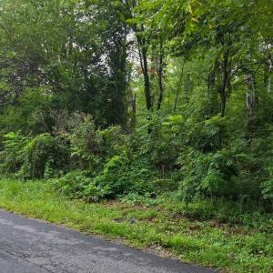 Photo #2 of Lee Grant, Lot 1 Avenue, Appomattox, VA 1.0 acres