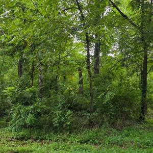 Photo #4 of Lee Grant, Lot 1 Avenue, Appomattox, VA 1.0 acres
