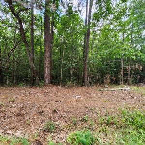Photo #5 of Chestnut Road, Nathalie, VA 53.3 acres