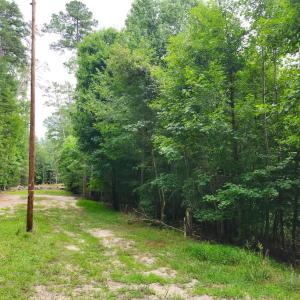 Photo #3 of Chestnut Road, Nathalie, VA 53.3 acres