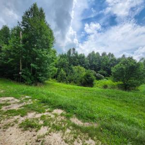 Photo #7 of Chestnut Road, Nathalie, VA 53.3 acres