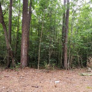 Photo #8 of Chestnut Road, Nathalie, VA 53.3 acres