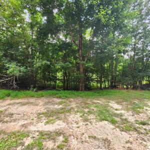 Photo #6 of Chestnut Road, Nathalie, VA 53.3 acres