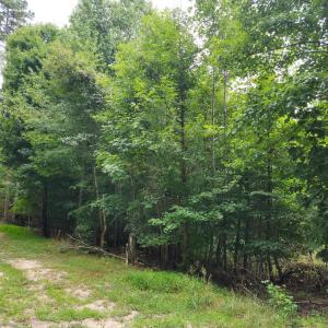 Photo #2 of Chestnut Road, Nathalie, VA 53.3 acres
