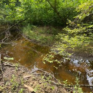 Photo #7 of 3756 Sycamore Creek Road, Buckingham, VA 4.0 acres