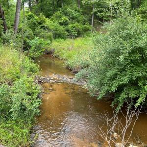 Photo #2 of 1 Sycamore Creek Road, Buckingham, VA 5.6 acres
