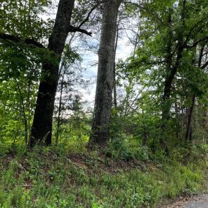 Photo #3 of 1 Sycamore Creek Road, Buckingham, VA 5.6 acres