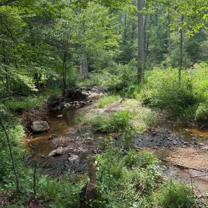 Photo #9 of 1 Sycamore Creek Road, Buckingham, VA 5.6 acres