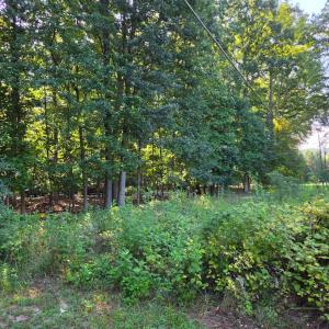 Photo #5 of Rolling Hill Drive, Forest, VA 0.7 acres