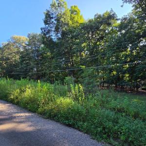 Photo #4 of Rolling Hill Drive, Forest, VA 0.7 acres