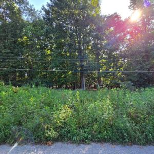 Photo #3 of Rolling Hill Drive, Forest, VA 0.7 acres