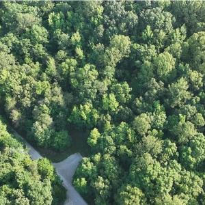 Photo #5 of 3 Strawberry Run, Crozier, VA 6.6 acres
