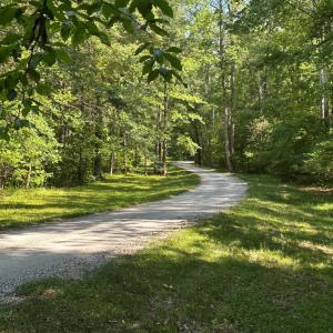Photo #4 of 3 Strawberry Run, Crozier, VA 6.6 acres