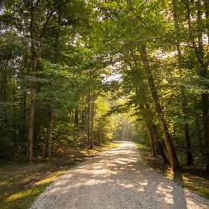 Photo #2 of 3 Strawberry Run, Crozier, VA 6.6 acres