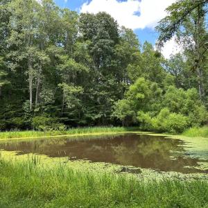 Photo #3 of 3 Strawberry Run, Crozier, VA 6.6 acres