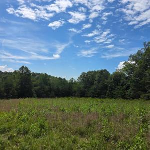 Photo #30 of Maury Place, Appomattox, VA 33.9 acres