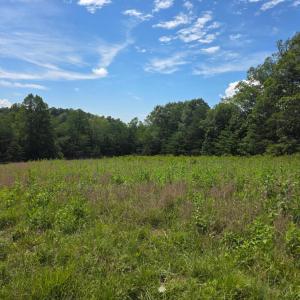Photo #32 of Maury Place, Appomattox, VA 33.9 acres