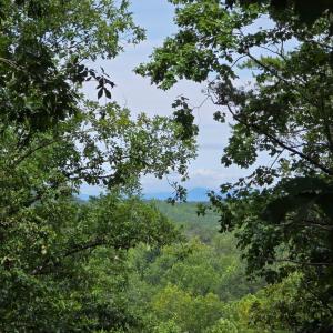 Photo #1 of Maury Place, Appomattox, VA 33.9 acres