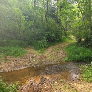 Photo #18 of Maury Place, Appomattox, VA 33.9 acres