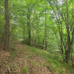 Photo #4 of Maury Place, Appomattox, VA 33.9 acres