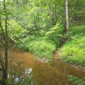 Photo #17 of Maury Place, Appomattox, VA 33.9 acres
