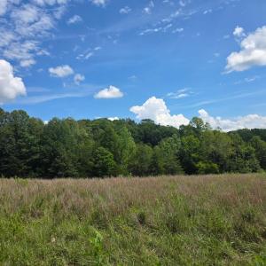 Photo #31 of Maury Place, Appomattox, VA 33.9 acres