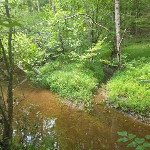 Photo #16 of Maury Place, Appomattox, VA 33.9 acres