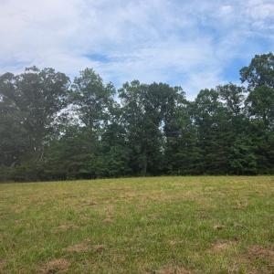 Photo #6 of Maury Place, Appomattox, VA 33.9 acres
