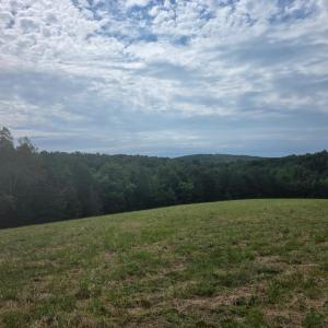 Photo #7 of Maury Place, Appomattox, VA 33.9 acres