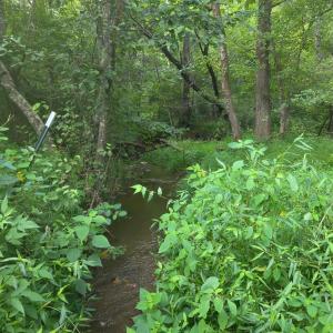 Photo #9 of Maury Place, Appomattox, VA 33.9 acres