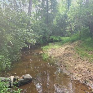 Photo #19 of Maury Place, Appomattox, VA 33.9 acres