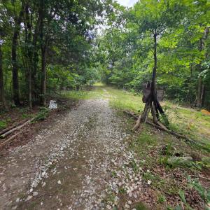 Photo #29 of Maury Place, Appomattox, VA 33.9 acres