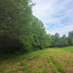 Photo #3 of Maury Place, Appomattox, VA 33.9 acres
