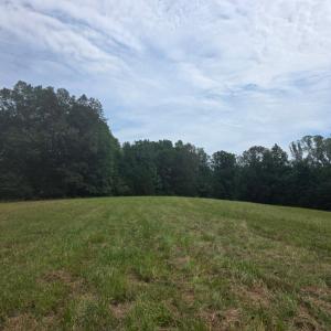 Photo #5 of Maury Place, Appomattox, VA 33.9 acres