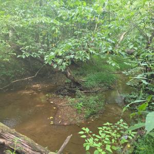 Photo #10 of Maury Place, Appomattox, VA 33.9 acres