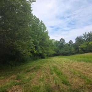 Photo #2 of Maury Place, Appomattox, VA 33.9 acres