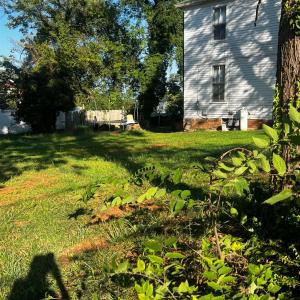Photo #4 of 1106 Jackson Street, Lynchburg, VA 0.1 acres