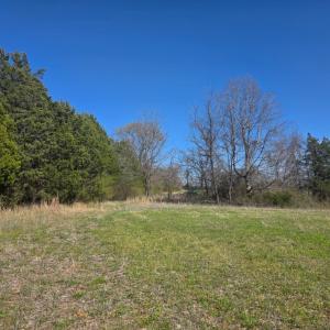 Photo #13 of Aspen Wall Road, Brookneal, VA 115.3 acres