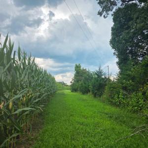 Photo #2 of Aspen Wall Road, Brookneal, VA 115.3 acres
