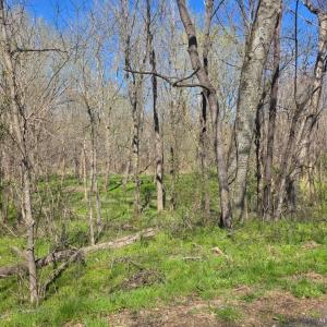 Photo #7 of Aspen Wall Road, Brookneal, VA 115.3 acres