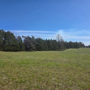 Photo #12 of Aspen Wall Road, Brookneal, VA 115.3 acres