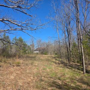 Photo #15 of Aspen Wall Road, Brookneal, VA 115.3 acres
