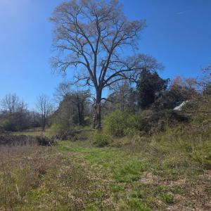 Photo #11 of Aspen Wall Road, Brookneal, VA 115.3 acres