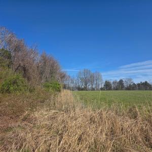 Photo #10 of Aspen Wall Road, Brookneal, VA 115.3 acres