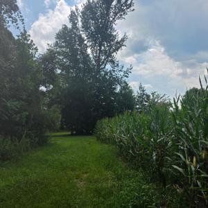Photo #1 of Aspen Wall Road, Brookneal, VA 115.3 acres