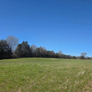 Photo #8 of Aspen Wall Road, Brookneal, VA 115.3 acres