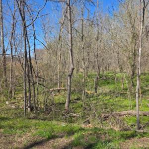Photo #6 of Aspen Wall Road, Brookneal, VA 115.3 acres