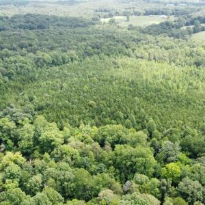 Photo #1 of Wheelers Spring Rd, Pamplin, VA 16.6 acres