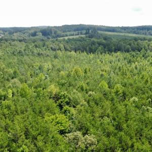 Photo #2 of Wheelers Spring Rd, Pamplin, VA 16.6 acres